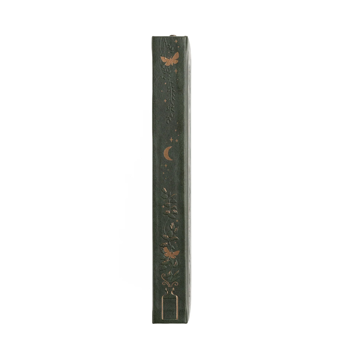 Cuaderno Apothecary Shelf