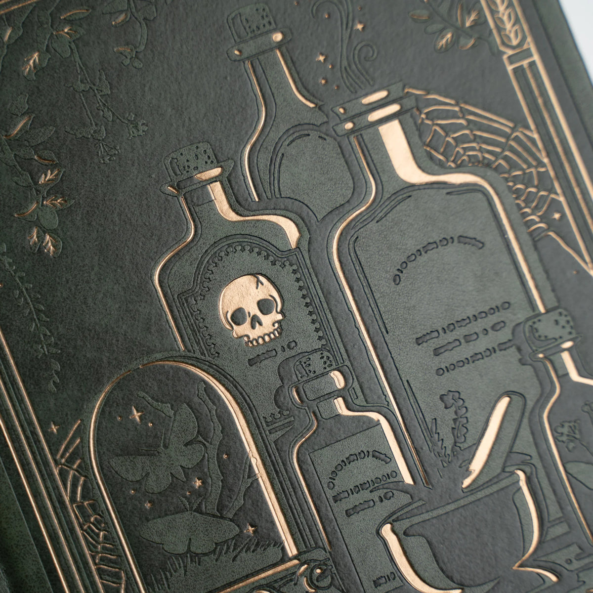 Cuaderno Apothecary Shelf