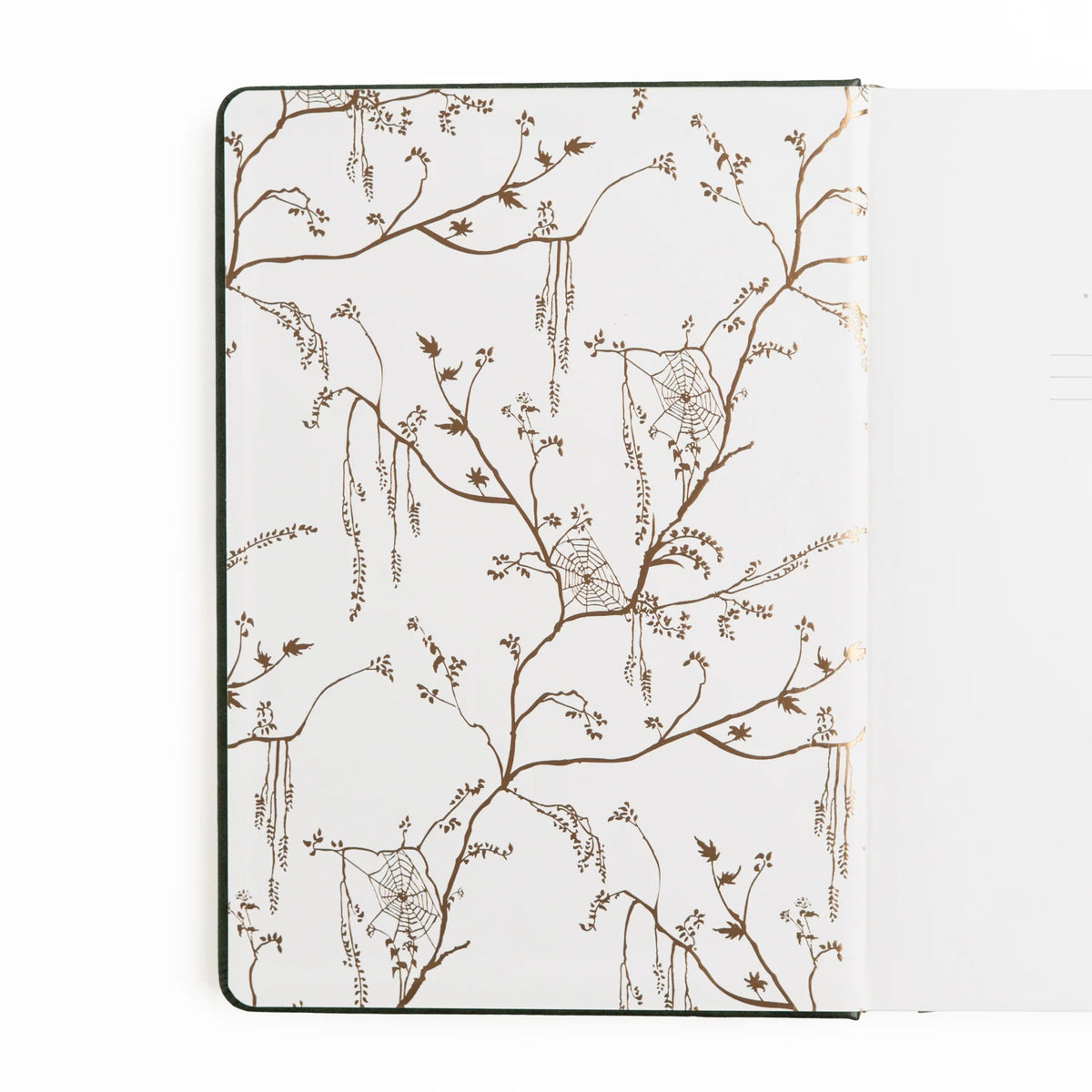 Cuaderno Apothecary Shelf