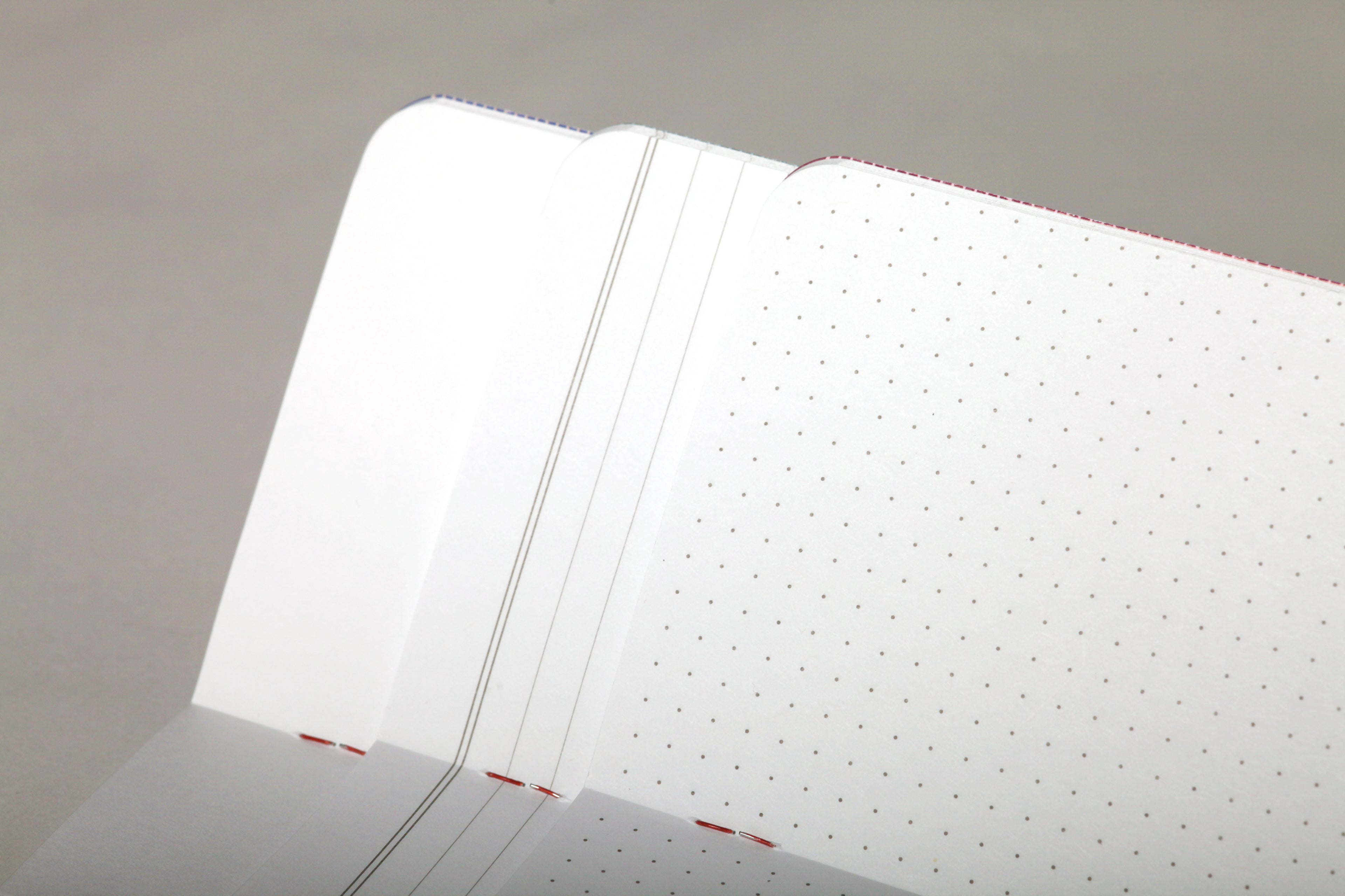Field Notes Flora